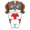 Nederlandse Kooikerhondje with sunglasses