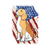 Beagle USA