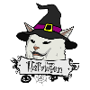 happy hallowen cat white
