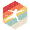 Fencing Fencing Fencing Retro