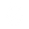 Skull graphic art