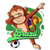 Brazil Football