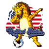 Usa Soccer