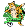 Brazil Football