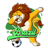 Brasilien Fußball