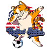 Usa Soccer