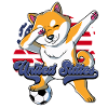 Usa Soccer
