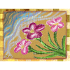 primrose 2010