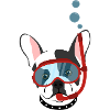 French Bulldog with Diving Goggles