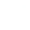 Schaf Herzschlag