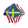 Drapeaux d'amitié USA Suède