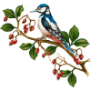 Bunter Vogel