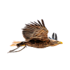 fractalius eagle 2