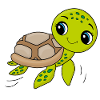 Turtle, cute animal, ocean