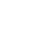 Gitarrist Evolution