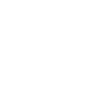 Pilot by profession