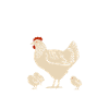 Easily Distracted by Chickens - Chicken