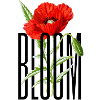 Flower Bloom