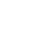 White digital moth