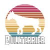 Bullterrier Hund