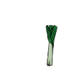 Lauch