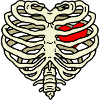 Bones Heart