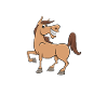 Reiten Mädchen Reiterin Geschenk