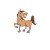 Reiten Mädchen Reitsport Geschenk