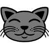 Grey cat face happy