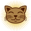 Radiant cat face happy