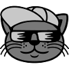 Sunglasses cat face cool