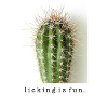 licking is fun - Kaktus