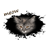 meow