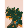 Happiness tree!