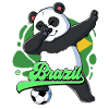 Brazil Football