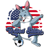 Usa Soccer