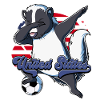 Usa Fußball