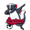 England Fußball
