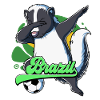 Brazil Football
