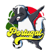 Portugal Football
