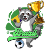 Brazil Football