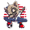 Usa Soccer