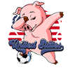 Usa Fußball