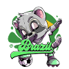 Brazil Football
