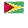 Guyana Flag Grunge Guyana Flag
