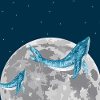 Baleine nage dans la lune