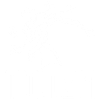 Cerf blanc animal totem