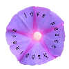 Love, Peace and Happiness
