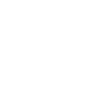 Turtle clan