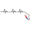 Bungee Jumping Heartbeat